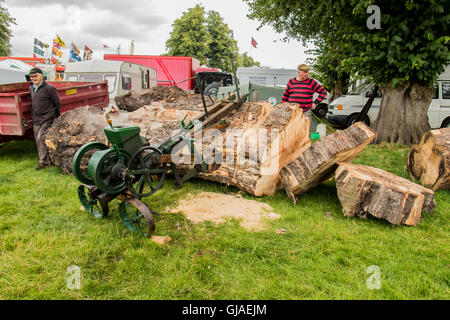 Démonstration de l'ancienne scie mécanique à moteur de traction Parc Astle rassemblement à Chelford Cheshire Angleterre Banque D'Images