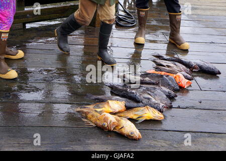 Affichage de poissons fraîchement pêchés au petit bateau port de Seward, Alaska Banque D'Images