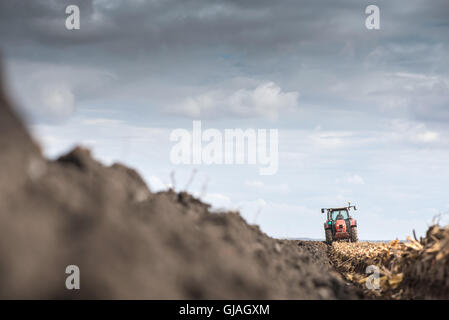 Le Labour tracteur rouge en automne Banque D'Images