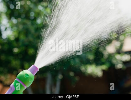 Part avec le tuyau d'arrosage arroser les plantes dans le jardin Banque D'Images