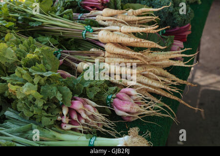 Mélange de carottes jaunes et blancs colorés avec des radis rouges cultivés et récoltés dans le sud de la Californie et affichée à l'un des agriculteurs Banque D'Images