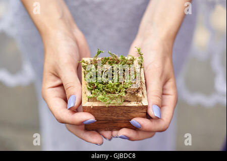 Bride's hands holding box avec anneaux dorés pour cérémonie de mariage Banque D'Images