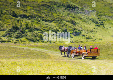 Montagnes Rodna, Roumanie, 05 juillet 2015 : Groupe de touristes à cheval dans les montagnes Rodna panier, Roumanie Banque D'Images