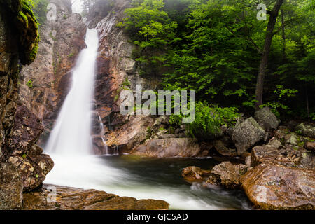 Glen Ellis Falls, Jackson, New Hampshire Banque D'Images