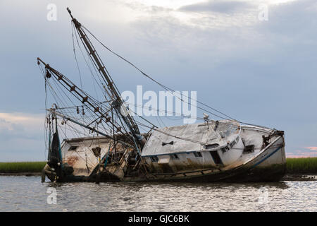 La dame Sassy, une épave de bateau, juste à côté de la crevette, Amelia Island, Floride Banque D'Images