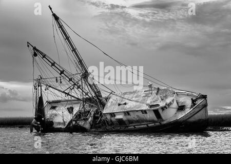 La dame Sassy, une épave de bateau, juste à côté de la crevette, Amelia Island, Floride Banque D'Images