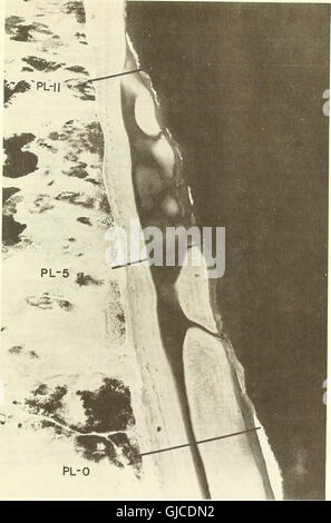 Cette étude de 1977 analyse les changements dans la morphologie des plages et les processus dynamiques à Plum Island, Massachusetts, en été et en hiver. Il fournit un aperçu des transformations saisonnières des plages, de l'érosion côtière et du transport des sédiments. Banque D'Images