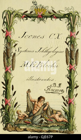 M.E. Blochii Systema ichthyologiae iconibus CX illustratum (1801) Banque D'Images