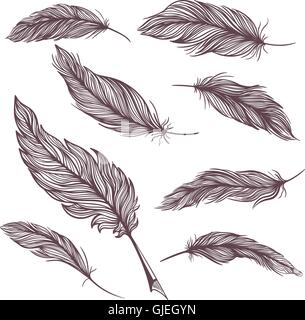 Jeu de plumes vecteur élégant Illustration de Vecteur