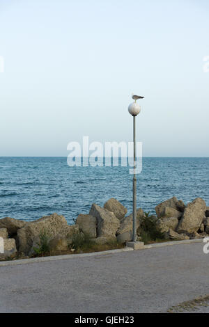 Grand sea gull assis sur une lanterne sur le rivage de la mer Banque D'Images