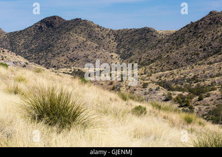 Le Molino Bassin dans les montagnes Santa Catalina. Coronado National Forest, Arizona Banque D'Images