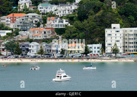 Maisons sur colline au-dessus de plage, Oriental Bay, Wellington, Île du Nord, Nouvelle-Zélande Banque D'Images