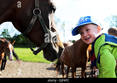 Janów Podlaski, Pologne. Août 15, 2016. Le goujon de Janów Podlaski a tenu sa journée portes ouvertes le 15 août 2016 au cours dans le cadre de la 38e conférence annuelle de l'Arabian Horse Show nationale polonaise, fierté de la Pologne". Le public a pu visiter le légendaire d'équitation et de voir tous les chevaux au haras. Le 14 août, la 47e assemblée annuelle de la fierté Pologne Vente aux enchères de chevaux a eu lieu à Janów Podlaski, où les chevaux arabes de race pure ont été mises aux enchères. Le plus offrant est venu du Qatar, l'achat d'une mare, nommé Sefora, pour plus de 300 mille euros. Crédit : Anna Ferensowicz/Pacific Press/Alamy Live News Banque D'Images