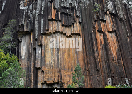 L'orgue-pipe falaise de roches sciés, un rappel du Mont Kaputar passé volcanique, dans le parc national du Mont Kaputar Banque D'Images