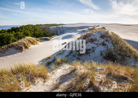 Leba, dunes ameuhsante dans le Parc National Slowinski, lac Lebsko, Poméranie, Pologne. Banque D'Images