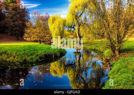 Willow Tree par l'étang avec la mise en miroir sur la surface Banque D'Images