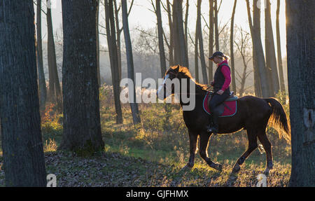 Girl riding a horse sur forêt d'automne Banque D'Images