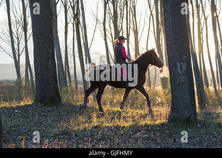 Girl riding a horse sur forêt d'automne Banque D'Images