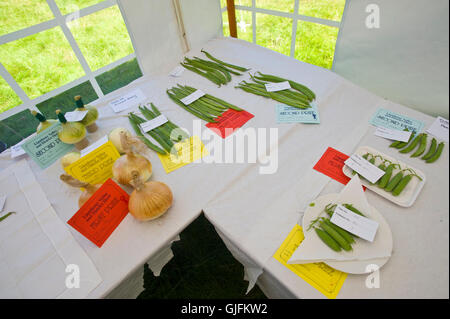 Dans les légumes primés produisent à chapiteau Llanthony afficher près d'Abergavenny Monmouthshire South Wales UK Banque D'Images