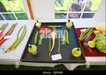 Dans les légumes primés produisent à chapiteau Llanthony afficher près d'Abergavenny Monmouthshire South Wales UK Banque D'Images