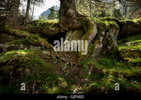 Printemps dans Sunderground, Zillertal, Autriche Banque D'Images