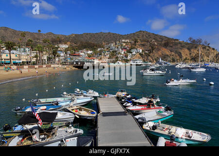 Port d'Avalon, l'île de Catalina, Orange County, Californie, USA Banque D'Images