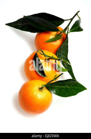 trio de mandarines Banque D'Images