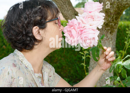 Une femme mature qui sent la rose de son jardin Banque D'Images