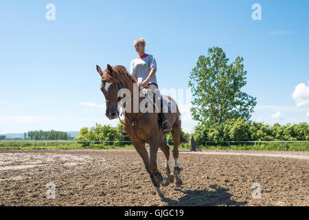 Young woman riding a horse Banque D'Images