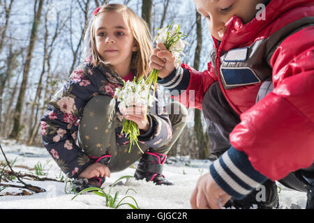 Garçon et fille la cueillette des fleurs de printemps Banque D'Images