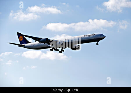 Lufthansa Airbus A340-800 sur l'approche à l'atterrissage à l'aéroport Franz Josef Strauss, Munich, Haute-Bavière, Allemagne, Europe. Banque D'Images