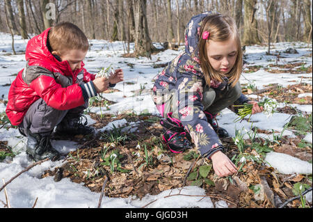 Garçon et fille la cueillette des fleurs de printemps Banque D'Images