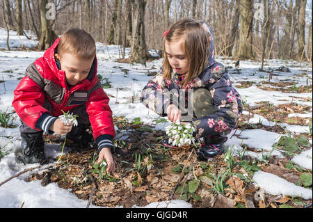 Garçon et fille la cueillette des fleurs de printemps Banque D'Images