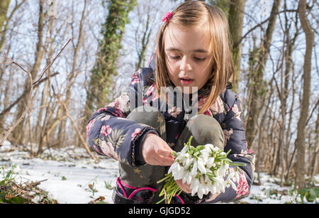 Little girl Picking Flowers of spring Banque D'Images