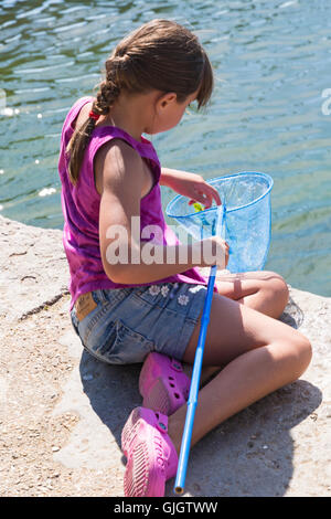 Poole, Dorset, UK. Août 16, 2016. Météo France : les enfants vont en crabe à Poole Quay sur une chaude journée ensoleillée avec soleil ininterrompue Crédit : Carolyn Jenkins/Alamy Live News Banque D'Images