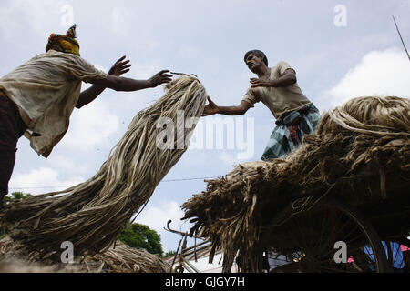 Manikganj, au Bangladesh. Août 16, 2016. Les commerçants du Bangladesh jute de charge sur un véhicule pour le commerce au marché local à Manikganj, à l'extérieur de Dhaka, Bangladesh, le 16 août, 2016. Le Bangladesh produit la meilleure qualité de fibre de jute naturelle. En tant que fabricant de produits de jute du Bangladesh, ou l'exportateur a un avantage supplémentaire dans la fabrication de produits de jute de qualité supérieure à l'aide de meilleure qualité de fibre naturelle. Credit : Suvra Kanti Das/ZUMA/Alamy Fil Live News Banque D'Images