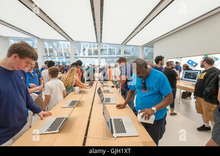 New York, USA. 16 août, 2016. Les accros d'Apple et les visiteurs dans la nouvelle Apple store dans le centre commercial Westfield dans le World Trade Center Transportation Hub, connu sous le nom de l'Oculus, le mardi, 16 août, 2016 lors de son inauguration. Le Westfield Mall contient 350 000 pieds carrés d'espace de vente au détail et mettra en vedette plus de 100 magasins lorsqu'ils tous ouverts, y compris le présent maintenant ouvert Apple Store. Le centre commercial ouvre près de 15 ans après l'attaque terroriste du World Trade Center. Crédit : Richard Levine/Alamy Live News Banque D'Images