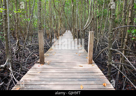 Pont passerelle en bois dans la forêt de mangrove située à Prasae, Rayong, Thaïlande. Cette attraction appelée 'Tung Prong Thong". Banque D'Images