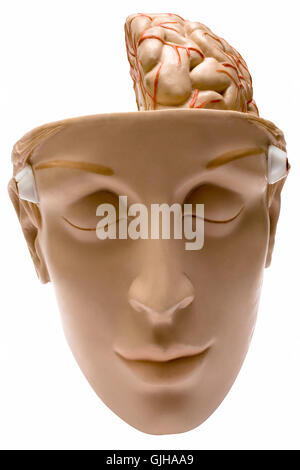 Médecin Médecin medic Banque D'Images