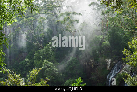 Brume du matin au-dessus de Twin Falls, parc national de Springbrook, Queensland, Australie Banque D'Images