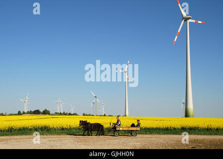 Coleseed energy power Banque D'Images