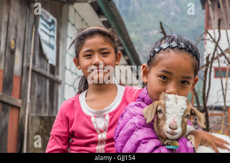 Le Népal, les filles avec chèvre dans village de montagne. Banque D'Images
