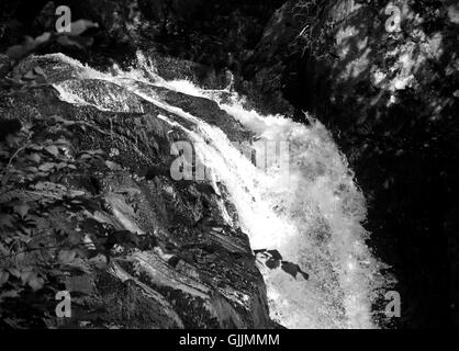 Monochrome, Close up la pulvérisation d'eau dans la partie supérieure de Ingleton cascades dans le Yorkshire, Angleterre Banque D'Images