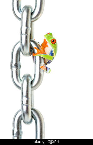 La chaîne verte isolés Banque D'Images