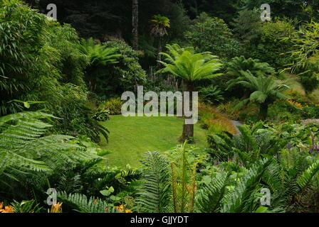 Trebah jardins tropicaux, Mawnen Smith, Cornwall, England, UK Banque D'Images