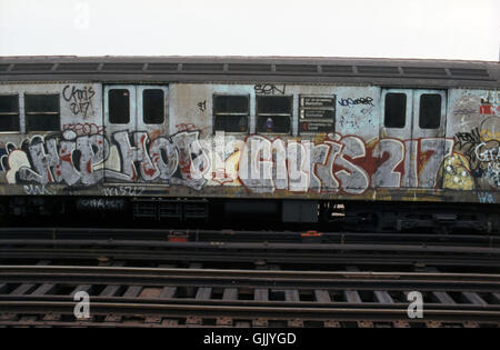 Graffiti illégal sur une voiture de métro à New York. La murale a été fait par le métro Liberté d'artistes (Chris Pape) et Chris 217. Banque D'Images