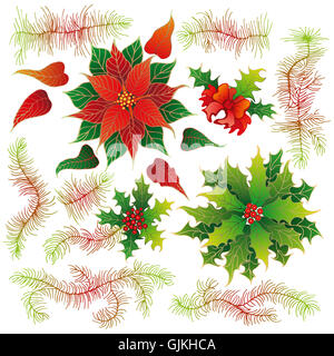 Jeu de Noël de plantes avec des fleurs Banque D'Images