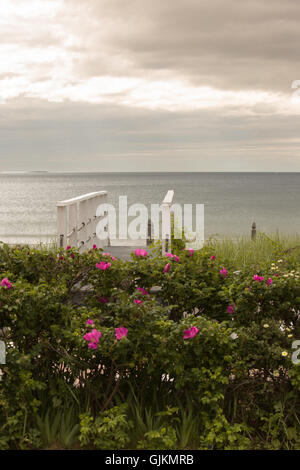 Old Orchard Beach au coucher du soleil avec des fleurs et des piétons dans le Maine. Banque D'Images