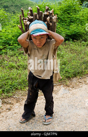 Bois,transporte des enfants au Laos Banque D'Images