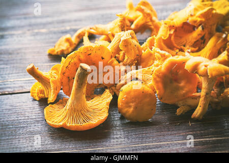 Chanterelles fraîchement cueillies sur table en bois Banque D'Images